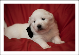 Capture One Session0146